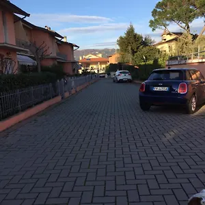 Le Di Cinzia Vinci